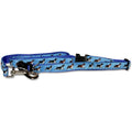 English Springer Spaniel Collar and Leash Set