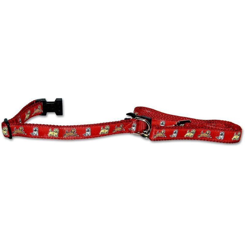 Cairn Terrier Collar and Leash Set