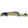 Miniature Schnauzer Collar and Leash Set