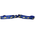 Soft Coated Wheaten Terrier Collar and Leash Set