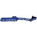 Parsons Russell Terrier Collar and Leash Set