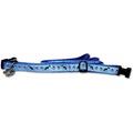 Boston Terrier Collar and Leash Set
