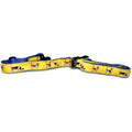 Basset Hound Collar and Leash Set
