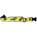 Greyhound Collar and Leash Set
