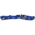 Pug Collar and Leash Set