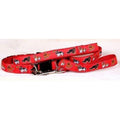 Cavalier King Charles Spaniel Collar and Leash Set