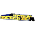 Boxer Collar and Leash Set