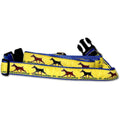 Doberman Collar and Leash Set