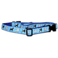 Poodle Collar and Leash Set