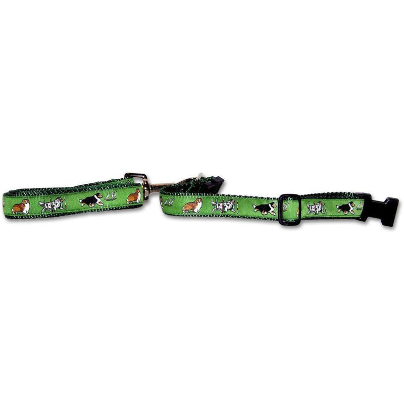 Shetland Sheepdog Collar and Leash Set