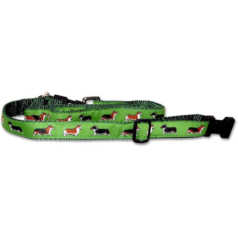 Pembroke Welsh Corgi Collar and Leash Set