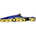 Pembroke Welsh Corgi Collar and Leash Set