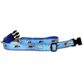 Australian Shepherd Collar and Leash Set