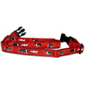 Border Collie Collar and Leash Set