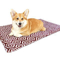 AKC Pillow and Blanket Bundle