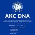AKC DNA Test (Stage)