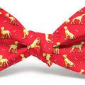 Labrador Retriever Bow Tie