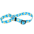 Blue Daisy Martingale Collar