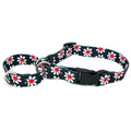 Black Daisy Martingale Collar With Clip