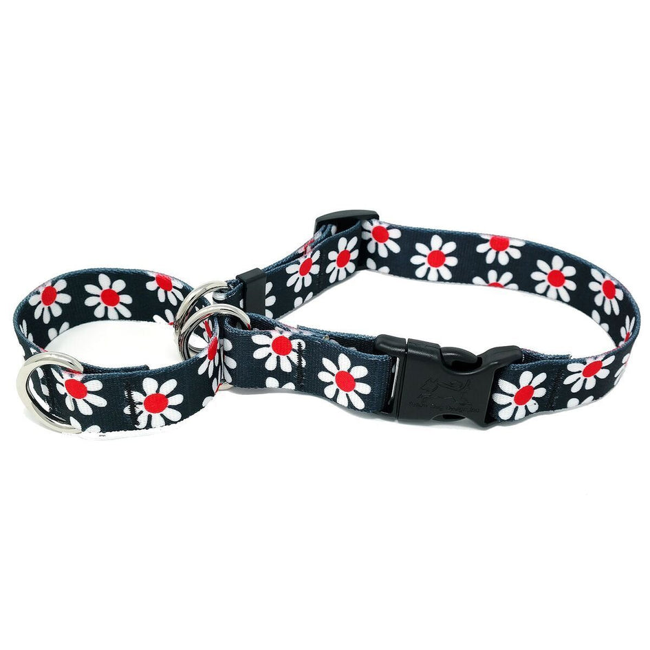 Black Daisy Martingale Collar With Clip
