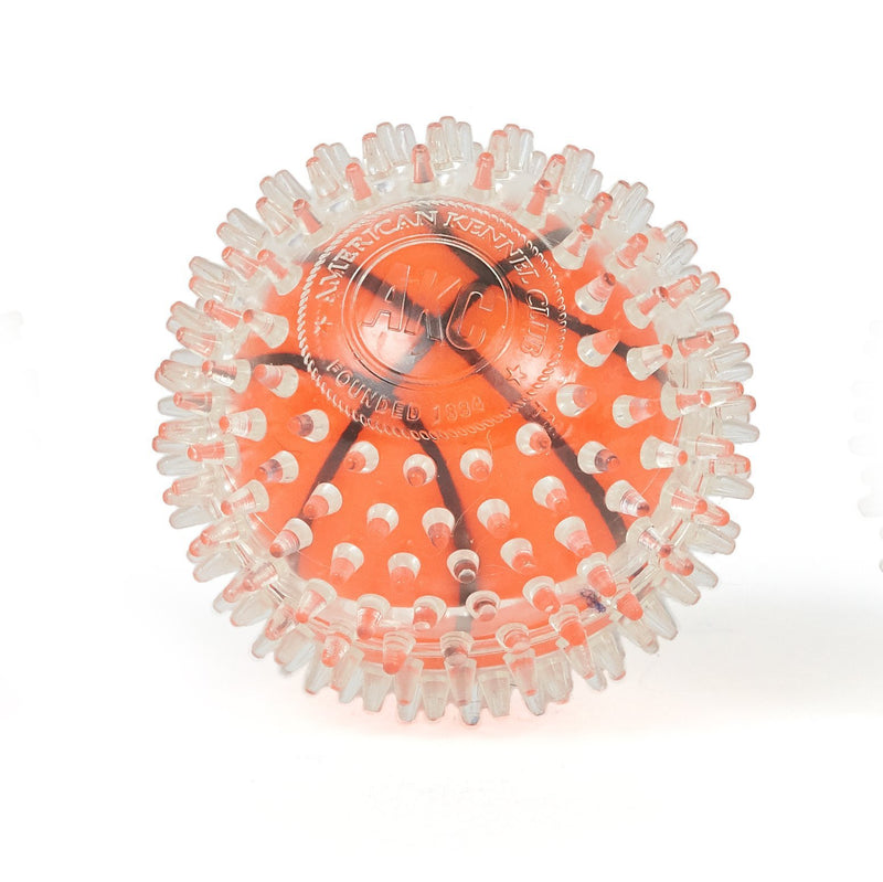 Basketball Dental Ball