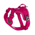 Active Harness