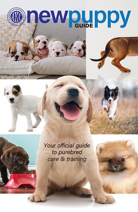 New Puppy Guide
