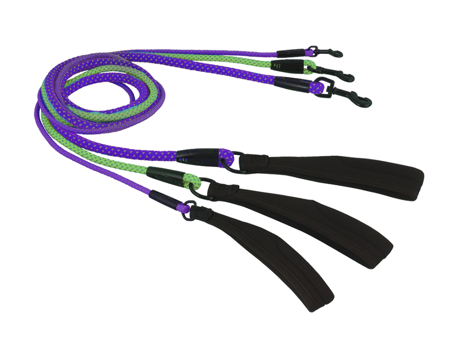 Dazzle High Visibility Rope Leash