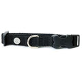 AKC Adjustable Nylon Dog Collar