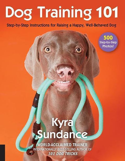 Dog Training 101