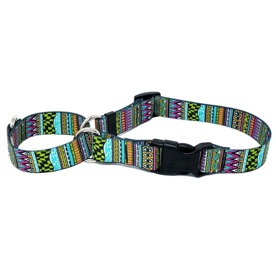 Festival Stripes Martingale Collar with Clip