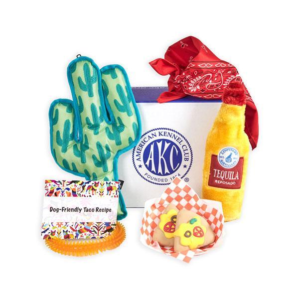 Fiesta Fun Dog Gift Box