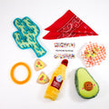 Fiesta Fun Dog Gift Box