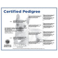 AKC-Certified Puppy Pedigree