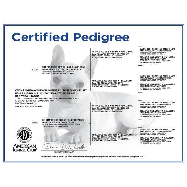 AKC-Certified Puppy Pedigree