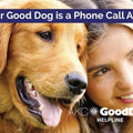 AKC GoodDog! Helpline