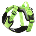 Hi-Viz Active Harness