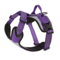 Hi-Viz Active Harness