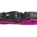Padded Collar