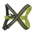 Padded Y-Harness