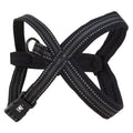 Padded Y-Harness