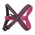 Padded Y-Harness