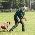 Padded Dog Y-Harness 2