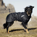 Summit Dog Parka