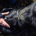 Free Hand Leash