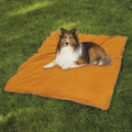 Insect Repellent Dog Blanket