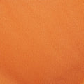 Insect Repellent Dog Blanket