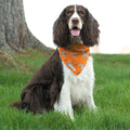Insect-Repelling Dog Bandana