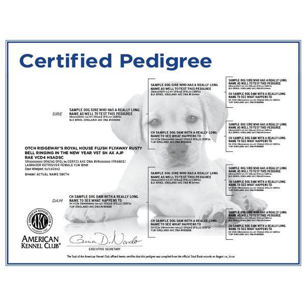 AKC-Certified Puppy Pedigree