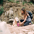Highwave Dog Travel Water Bottle